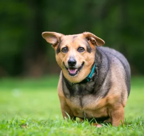 formation biarritz VNC-octobre 2023